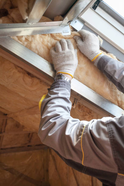 Eco-Friendly or Green Insulation Solutions in Louisburg, KS